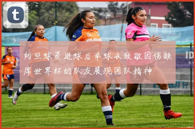 约旦球员进球后举球衣致敬因伤缺席世界杯的队友展现团队精神