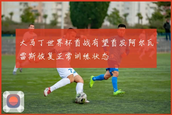 大马丁世界杯首战有望首发阿尔瓦雷斯恢复正常训练状态